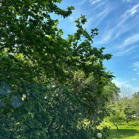 Hotel морска база даскалов # Daskalov Seaside *