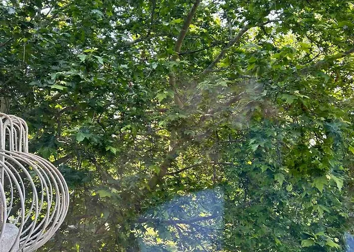 морска база даскалов # Daskalov Seaside Hotel St Constantin et Helena